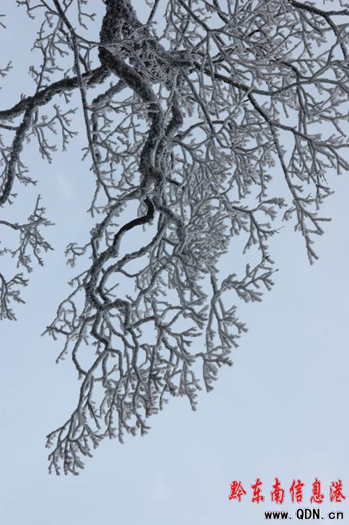 �ܵ�����Ӱ� �׹�ɽ���Fѩ���������M�D��