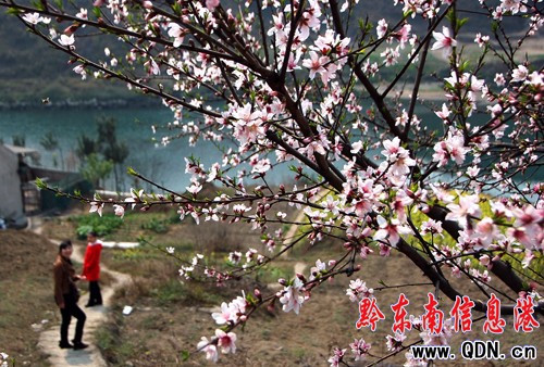 ��ˮ����һ�����ⰻȻ���󣨈D��