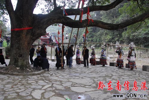 �_���������[�[�^���򹝣��M�D��