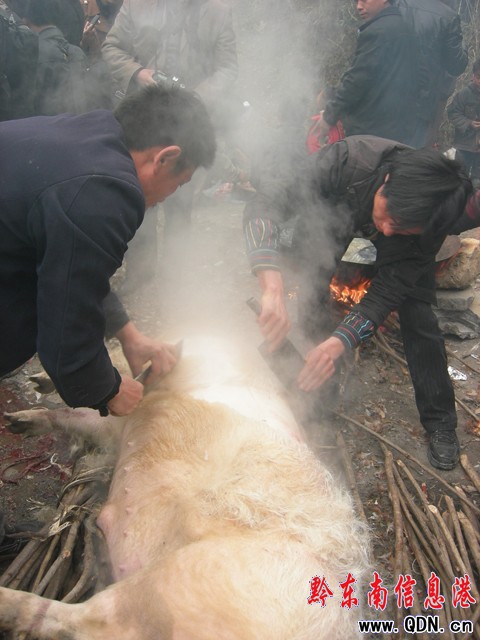 ���i����c������(ji��)�� �ò����[�����D��