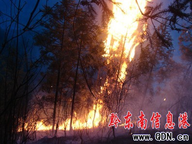 �Ľ�܊����300���ˊ^�����ɽ�𣨈D��