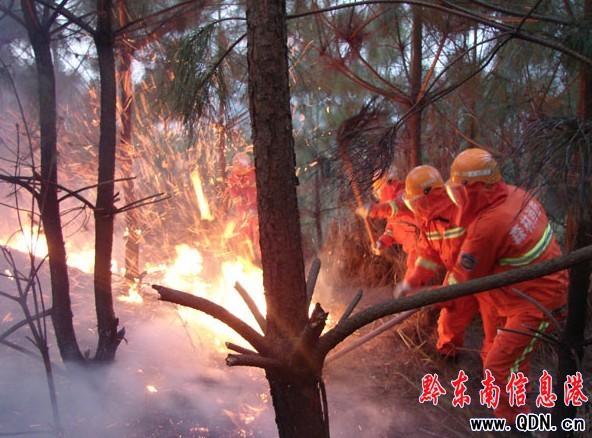 �Ľ�܊����300���ˊ^�����ɽ�𣨈D��