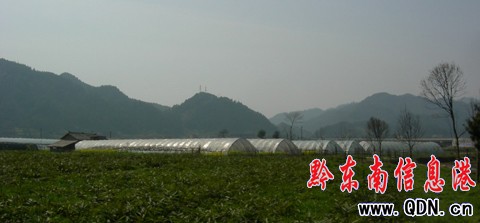 ǭ�|�����룩���B�^���r�Iʾ���^ ���M�r������