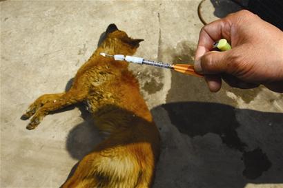 ��˾11ֻ���T��һ��ȱ�����