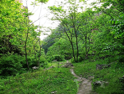 ��������Փ�������̽������������