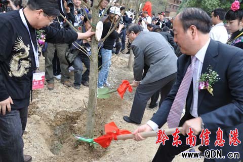 ������կ�Nֲ