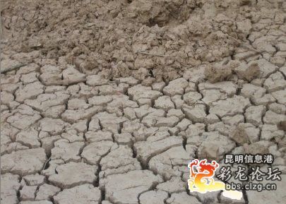 �c���g�[��һ��