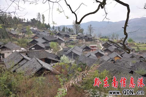 �Ʒ�Ƶ���BС����