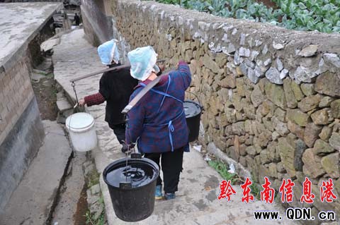 �Ʒ�Ƶ���BС����