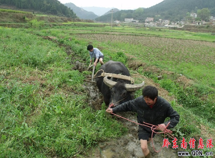 �P�｛(j��ng)��(j��)�_(k��i)�l(f��)�^(q��)�r(n��ng)��æ�s�����r(sh��)�ꡱ(�D)