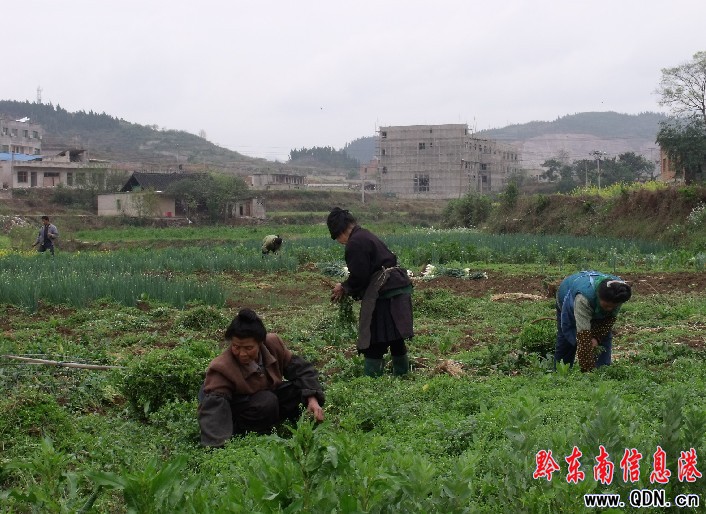 �P�｛(j��ng)��(j��)�_(k��i)�l(f��)�^(q��)�r(n��ng)��æ�s�����r(sh��)�ꡱ(�D)