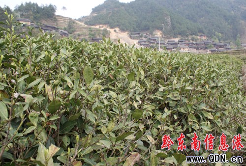 ����Σ����a�I 2.5�f�����~�ܞēpʧ720�fԪ���D��