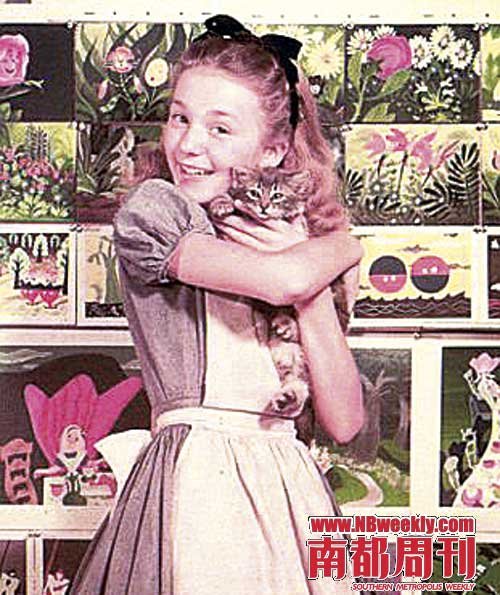 �����zӰ�����