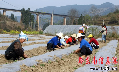 ��h�¾W��կȺ��æ�������D��