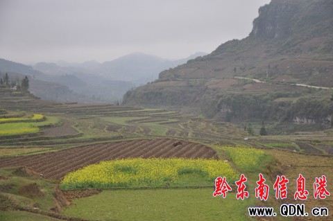 �tɽ悽��������忿����ÿ���͡�؟��ˮ���^��