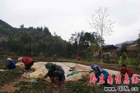 ��ɽ�h���ü���r���a�Բ���6000�����D��