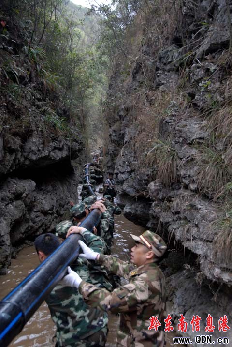 �P�I�r����Ҋ�ӵܱ����M�D��