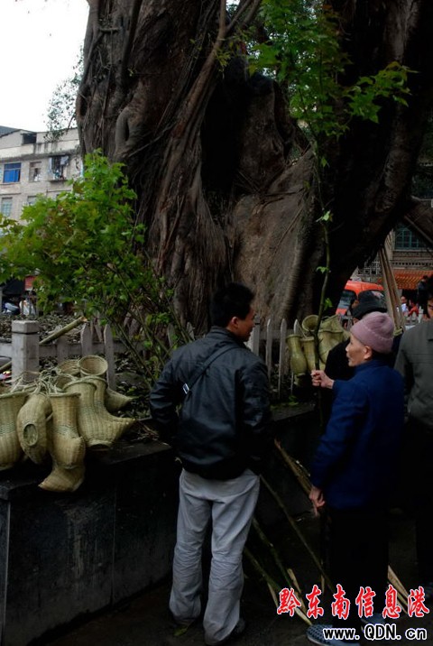 �Ľ������������xُ��֦��Ĺ���D��