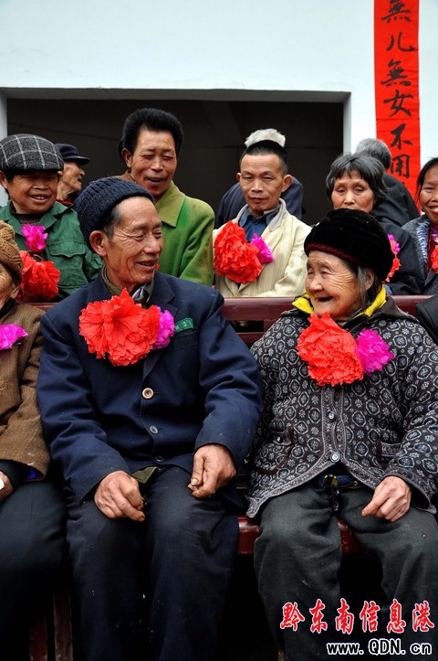 ������37���¹����������¼ң��D��