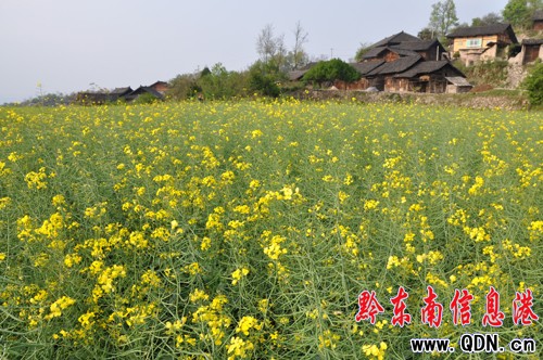 �˹�������Сɽ�� �������ڴ����꣨�D��