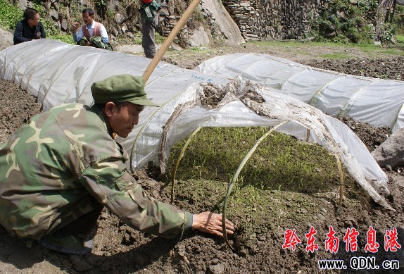 ��ɽ�h�e�O�ƏV�������籣�S�գ��D��