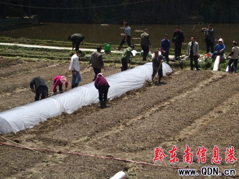 ��ɽͶ��39�fԪ�������������M�D��