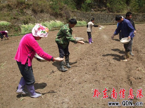 ��ɽͶ��39�fԪ�������������M�D��