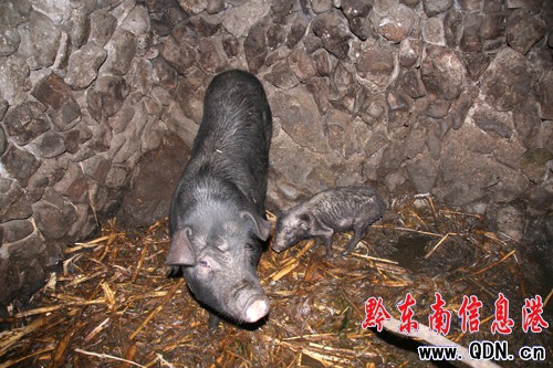 ��Ϫ�i�ֵ܂��^��� ���200��С�܃H6��(�D)