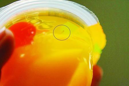 ��ϲ֮�ɡ������ȬF1����С�x �a�؞��Ͼ�