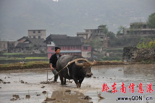 �Bҹ�������ϲ �캮�y�ʹ����ᣨ�D��