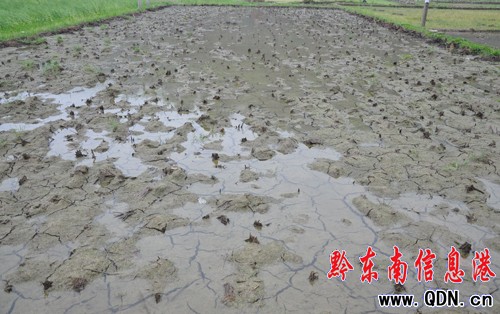 �Bҹ�������ϲ �캮�y�ʹ����ᣨ�D��