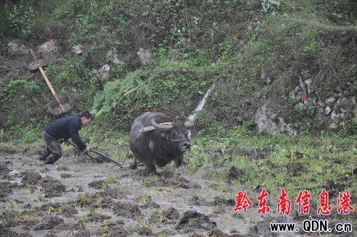 �Bҹ�������ϲ �캮�y�ʹ����ᣨ�D��