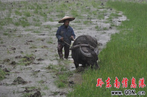 �Bҹ�������ϲ �캮�y�ʹ����ᣨ�D��