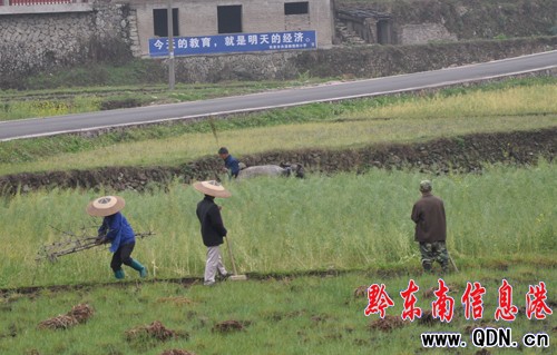 �Bҹ�������ϲ �캮�y�ʹ����ᣨ�D��