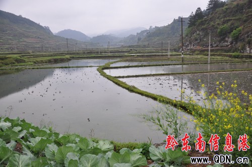 �Bҹ�������ϲ �캮�y�ʹ����ᣨ�D��