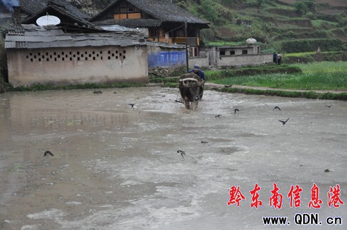 �Bҹ�������æ �l�������[���������D��