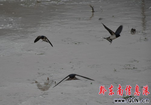 �Bҹ�������æ �l�������[���������D��