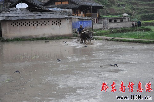 �Bҹ�������æ �l�������[���������D��