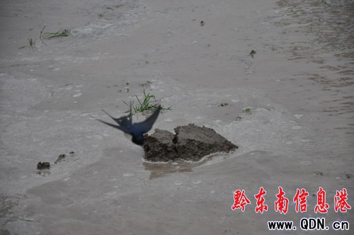 �Bҹ�������æ �l�������[���������D��