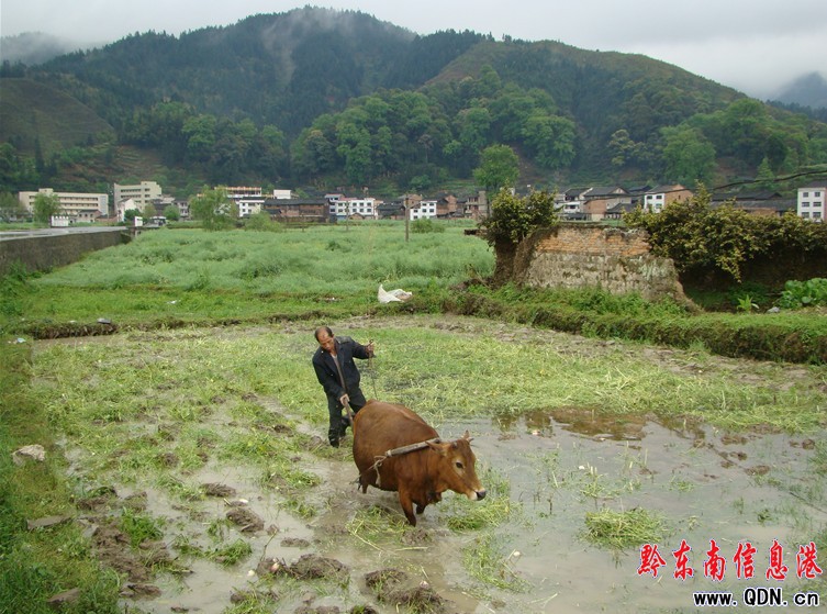 �\����Ϫˮ�M�r��æ���M�D��