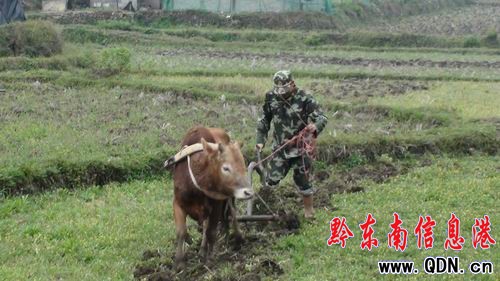 �����������^�g ������������æ���D��