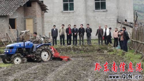 �����������^�g ������������æ���D��