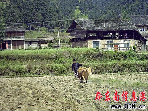 ��ƽ����ţ �E�R ����C�R�[�������M�D��