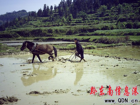 ��ƽ����ţ �E�R ����C�R�[�������M�D��