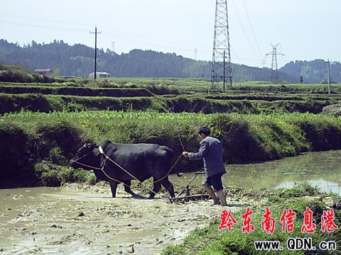 ��ƽ����ţ �E�R ����C�R�[�������M�D��