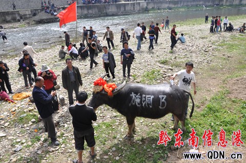 �_���e�k��ţ��ِ�g����ù�(ji��)���M�D��