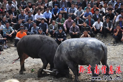 �_���e�k��ţ��ِ�g����ù�(ji��)���M�D��