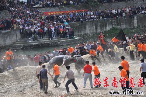 �_���e�k��ţ��ِ�g����ù�(ji��)���M�D��