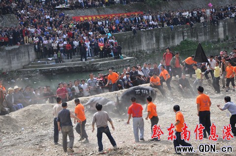 �_���e�k��ţ��ِ�g����ù�(ji��)���M�D��