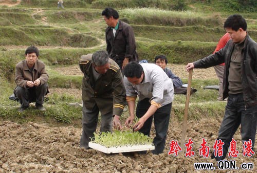 �����h����